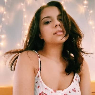 Cree Cicchino