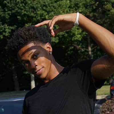 B.Artis White