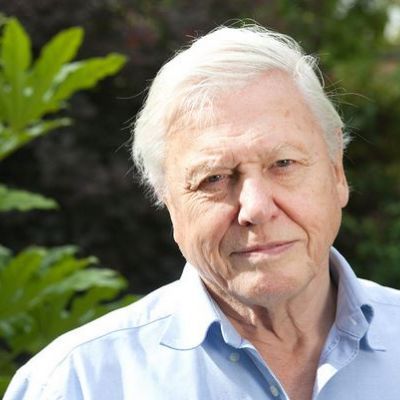 David Attenborough Wiki, Age, Bio, Height, Wife, Career, Net Worth