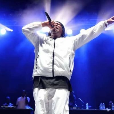 Big Daddy Kane Wiki, Age, Bio, Height, Wife, Career, and Salary