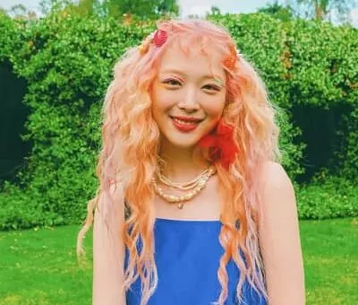 Sulli